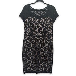 🝮 𝑳𝒂𝒏𝒆 𝑩𝒓𝒚𝒂𝒏𝒕 𝑳𝒂𝒄𝒆 𝑫𝒓𝒆𝒔𝒔 🝮